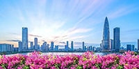 深圳全面启动大规模以旧换新